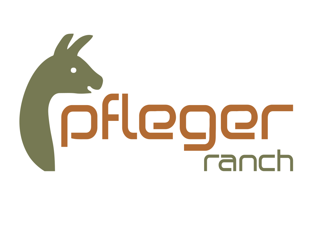 Ankommen – Wohlfühlen – Auftanken Ankommen – Wohlfühlen – Auftanken